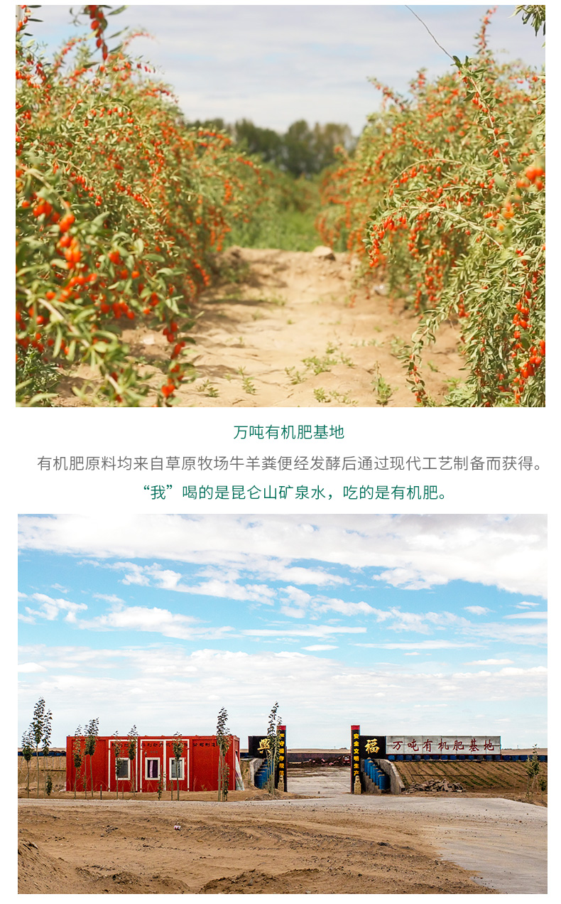 苏弥山 特优级正宗免洗枸杞 400g 欧美有机认证 图4