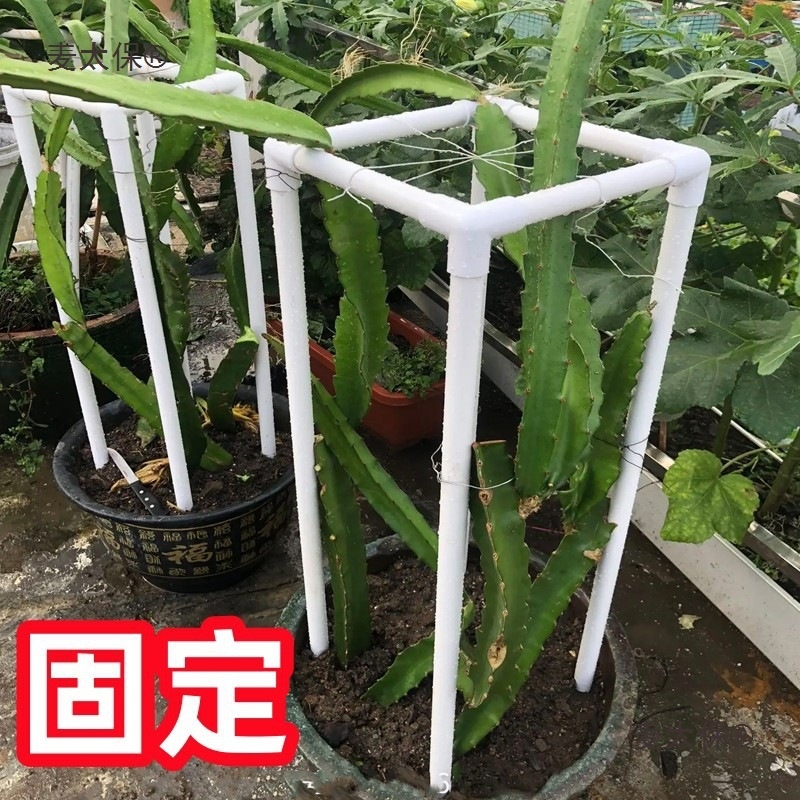 Dragon Fruit Support Stand, Potted Plant and Ground Planting Flower Stand, Planting Fixed Frame, Special Support Frame for Crab Claw Orchid, Economical Dragon Fruit Support Stand, Potted Plant and Ground Planting Flower Stand, Planting Fixed Frame, Special Support Frame for Crab Claw Orchid, Economical