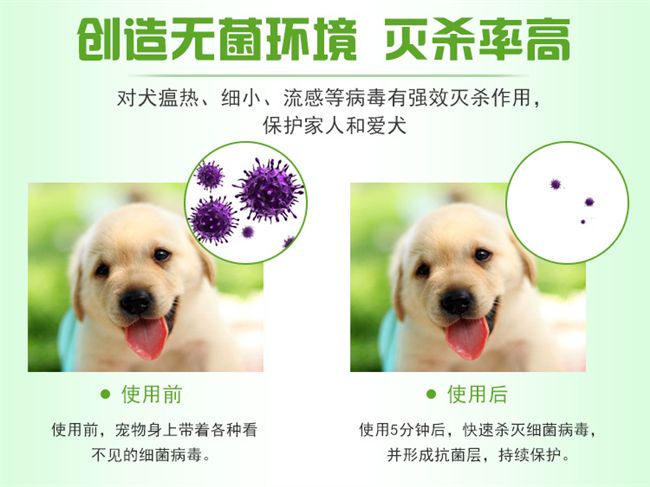 Thuốc diệt côn trùng, chó tẩy giun ngoài, loại bỏ thuốc diệt bọ chét, chó mèo, vật tư loại bỏ côn trùng - Cat / Dog Medical Supplies máy siêu âm cho chó mèo