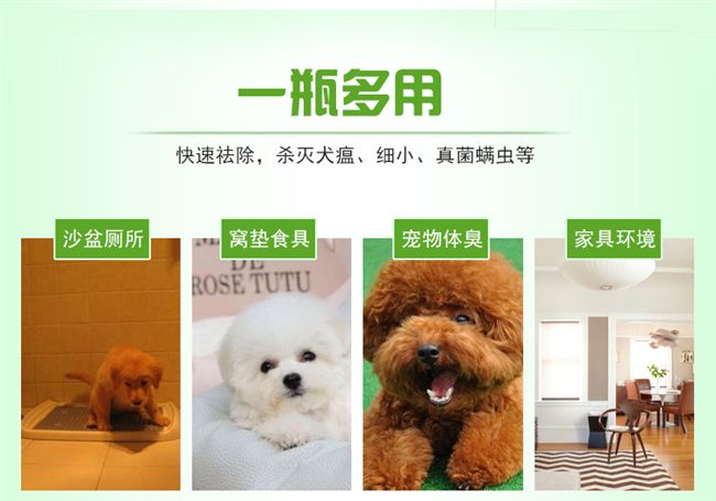 Thuốc diệt côn trùng, chó tẩy giun ngoài, loại bỏ thuốc diệt bọ chét, chó mèo, vật tư loại bỏ côn trùng - Cat / Dog Medical Supplies