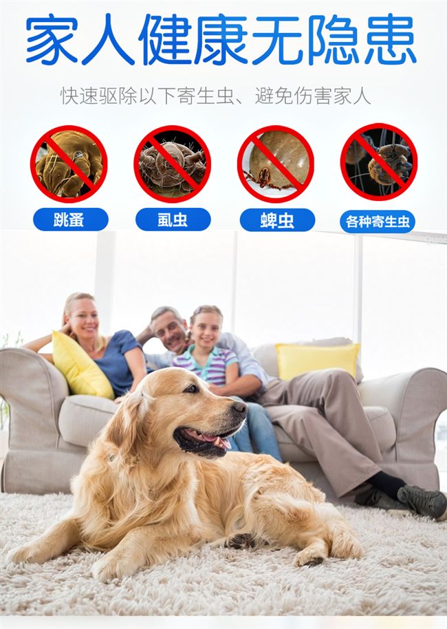 Pet diệt côn trùng chó tẩy giun bên ngoài với khử trùng khử trùng ngoài việc phun thuốc diệt gián cho mèo ngoài việc cung cấp chấy - Cat / Dog Medical Supplies 	kim tiêm cho mèo