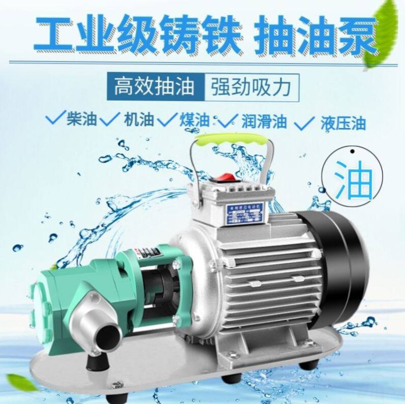 Stainless steel pure copper motor hydraulic oil self-suction high viscosity electric pump gear pump industrial grade food grade