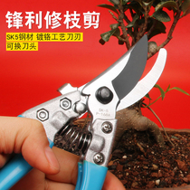 Pruning shears garden fruit shears gardening shears branches flower trimmers flowers and floral scissors