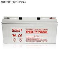 SEHEY battery NPG65-12 Xili battery 12V65AH fire host base station UPS power distribution
