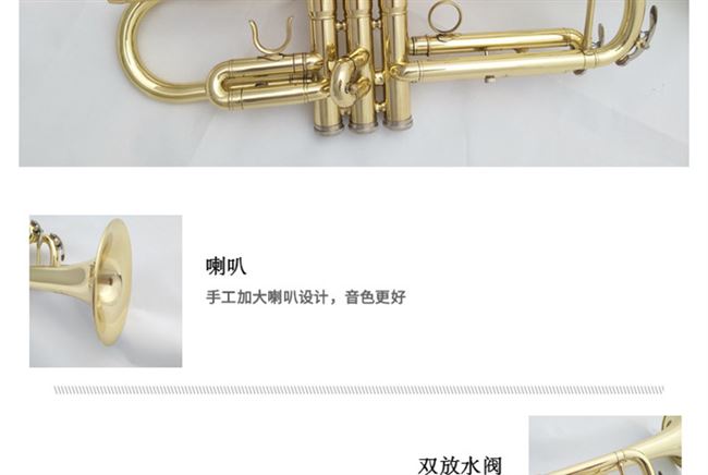 Nhạc cụ nhỏ thả B giai điệu kèn ba giai điệu Sinh viên mới bắt đầu thử nghiệm chuyên nghiệp chơi ống đồng Nhạc cụ phương Tây vĩ cầm