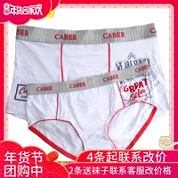 Caber Cabaret vài đồ lót nam boxer nữ tam giác modal cotton sáng tạo quần short 3952 5952 đồ lót đôi cotton đẹp