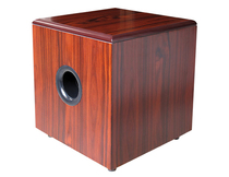 Winner Tianyi SUB-10TD-N Active Subwoofer 10 inch home theater subwoofer high power speaker