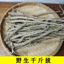 Guangdong wild jackal pull 500g Chinese herbal medicine one root nail ground root thousand gold dial drill ground wind Chinese herbal medicine