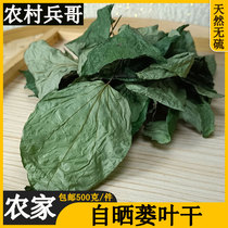 Zhengzong Leaf Dry Goods 500g farmhouse Self-drying Trichosanthis Leaf Fake keenwood Trichosanthes Kirilowii Bailing Leaves for Fried Fields Snail Parsley Leaves