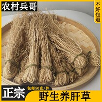 Authentic wild breeding of liver grass silk thread root dragon shall be grass appetites Cantonese special produce 50g saucepan soup stock soup ladle 1 to bundle 10 bundles