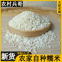 Zhengzong Long-grain glutinous rice 5 catty fresh farmhouse Dry stock Glutinous Rice Dumpling Special quality New Rice Brewing Raw Materials