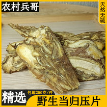Super-grade sulfur-free angelica tablets Chinese herbal medicine 500g soaked in water and soup pure wild returning to blood
