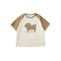 T -Frish Beige (N3935) место