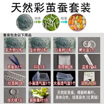 Multifunctional suitcases Puzzle Summer Elementary School Students Assembled Handheld Classroom Cohorts Adventure Backyard Sericulture Boxes