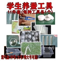 Silkworm baby Students Rearing Silkworm Suit Breathable rearing box Reptile Box Pet Box Turtle Silkworm baby Breeding Barn Villa