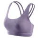 Purple [SW7987] [разборка грудной прокладки] [низкая интенсивность]