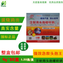 Veterinary ceftiofur sodium veterinary drug injection dog cat liquid pig ji ya e cattle and sheep with fever anti-inflammatory 5g