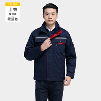 DZ019+анти -светлая полоса