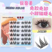 Glue-free sweet cat false eyelashes no-removal jelly glue for beginners lazy style single cluster curling segmented Japanese beginners