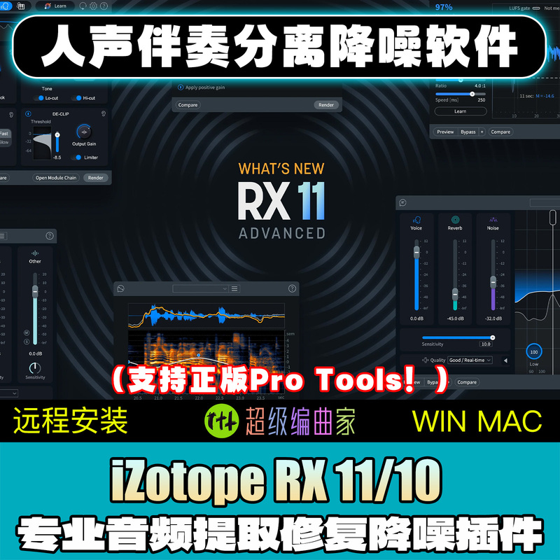 Izotope Rx11 Rx10 Vocal Accompaniment Separation and Noise Reduction Software Audio Repair Plug-In Win Chinese Mac