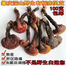 Ganoderma lucidum wild special grade can be sliced and pruned. 100g of Ganoderma lucidum