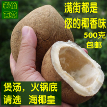 Coconut king Thai Coconut king Coconut king sea coconut king small coconut coconut flavor is stronger than Hainan coconut 500 grams