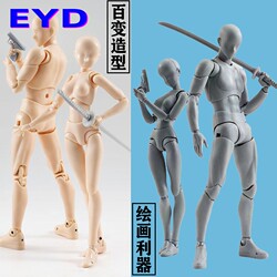 Bandai Shf Human Body Model Figure for Animation, Drawing, Art, Comics, Sketching, Male and Female