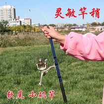 Soft-tailed small rock pole special price ultra-hard ultra-light hand sea dual-purpose small ring Mini small rock fishing rod set