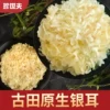 Товары от 珍世夫旗舰店