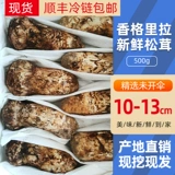 Fresh Matsutake 500G Shangri-La Xin Muskum Muscum 10-13 см. Юньнанские специализированные дикие грибы Matsutake Pine