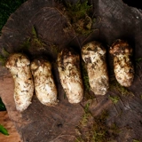 Shangri-La Wild Matsutake Fresh 1000G Fresh Pine Matsutake Yunnan Matsutake 6-8 см.