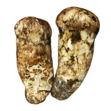 Shangri-La Wild Matsutake Fresh 1000G Fresh Pine Matsutake Yunnan Matsutake 6-8 см.