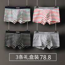 Primary school cotton shorts Medium and large boy boys flat angle 8-10-12 years old children 13 teenagers 15 boys underwear