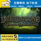 ПК подлинный паровой игру Друидстоун: Секрет леса Менхир