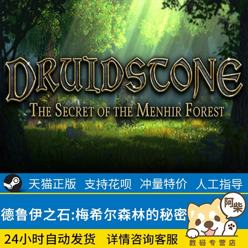 ПК подлинный паровой игру Друидстоун: Секрет леса Менхир