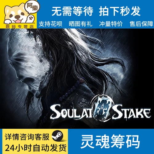 ПК искренний паровой китайский китайский соул Чип Чип Соул на карту