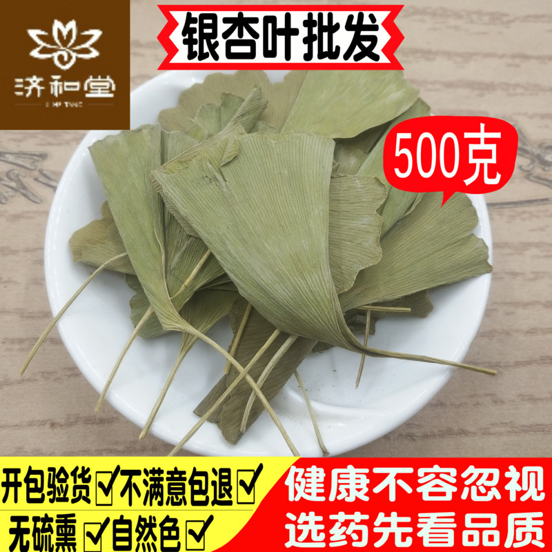 Ginkgo Biloba Tea Extra Dried Ginkgo Biloba 500g 1 Jin Traditional Chinese Medicine Store Non Tongren Tang