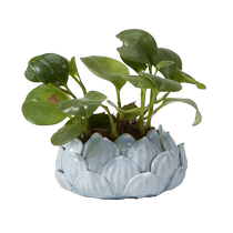 Uyi Poetry Ceramic Lotus Lotus Lotus Lotus Conining Storage Bowl Multi-Meat Flower Vat Flower Pot remote control Key contenant Candy Bowl