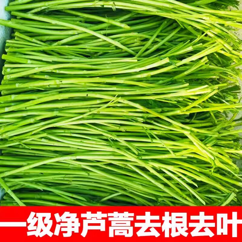 蔡小生蔬果店