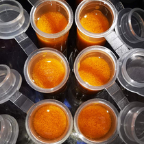 Frozen Hatch Fengnian Shrimp Ox Fish Food Small Tropical Guppe Fallow Young Fish Open Feed Jellyfish Bait