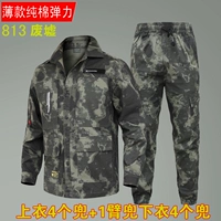 Руины 8313 Установить штаны Эластичные брюки