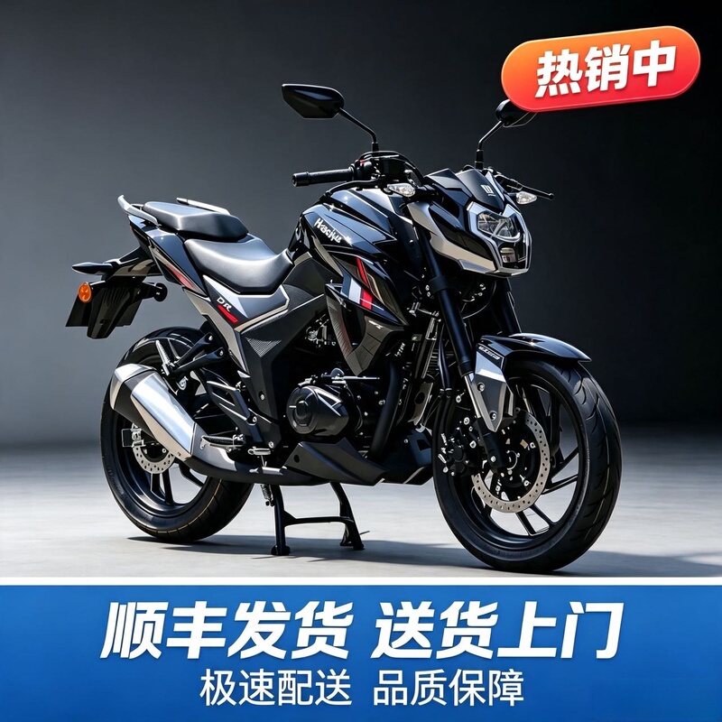 New Model Haojue Dr150Sdr16 Street Bike with Electronic Fuel Injection, Water-Cooled Dual-Cylinder Dr300 Men's Fuel-Powered Motorcycle