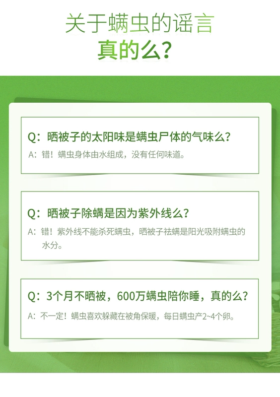 Beibeijian 祛 螨 螨 螨 床垫 床垫 床垫 螨 螨 床垫 床垫 床垫 床垫 床垫 床垫 床垫 床垫 床垫 床垫 床垫 床垫 床垫 - Thuốc diệt côn trùng