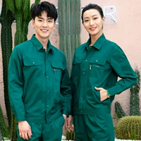 Почтовый зеленый с длинными рукавами (топ + брюки)