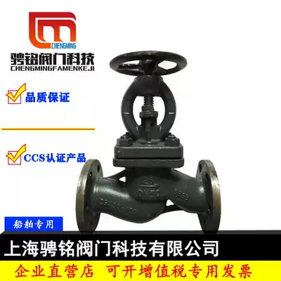 Marine flange cut-off check valve cast steel straight through one-way backstop ship pipe GB T5845-1999 valve a type