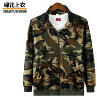 Эластичность зеленого цветов (вверху)