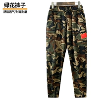 Эластичность зеленого цветов (штаны)