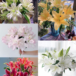 Yunnan flower base straight hair perfume lily sf