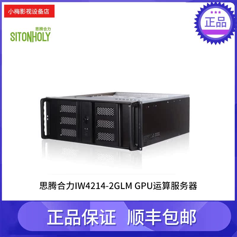 Totem synergy IW4214-2GLM GPU operation server
