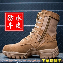 New combat training boots brown training boots mens side zipper high-top outdoor boots ultra-light breathable anti-puncture desert boots